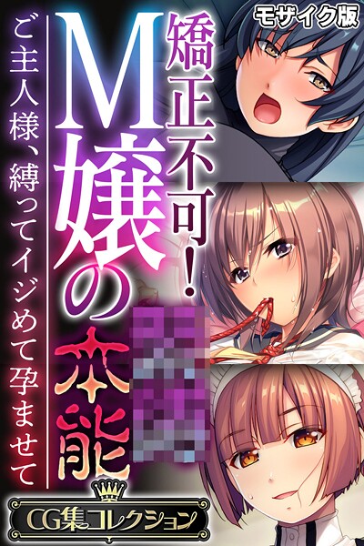 矯正不可！M嬢の●●本能 〜ご主人様、縛ってイジめて孕ませて〜【CG集コレクション】 モザイク版 - エロ漫画の画像